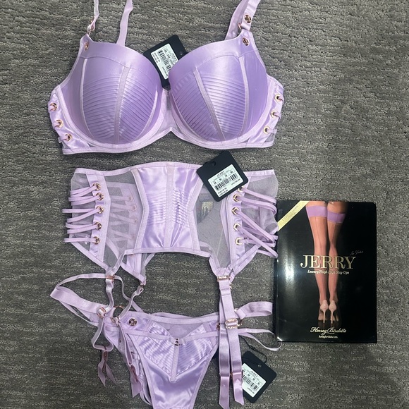 Honey Bridgette “ Jerry” 4 piece lingerie set. NWT 34DDD.M garter, M thong. - Picture 3 of 8